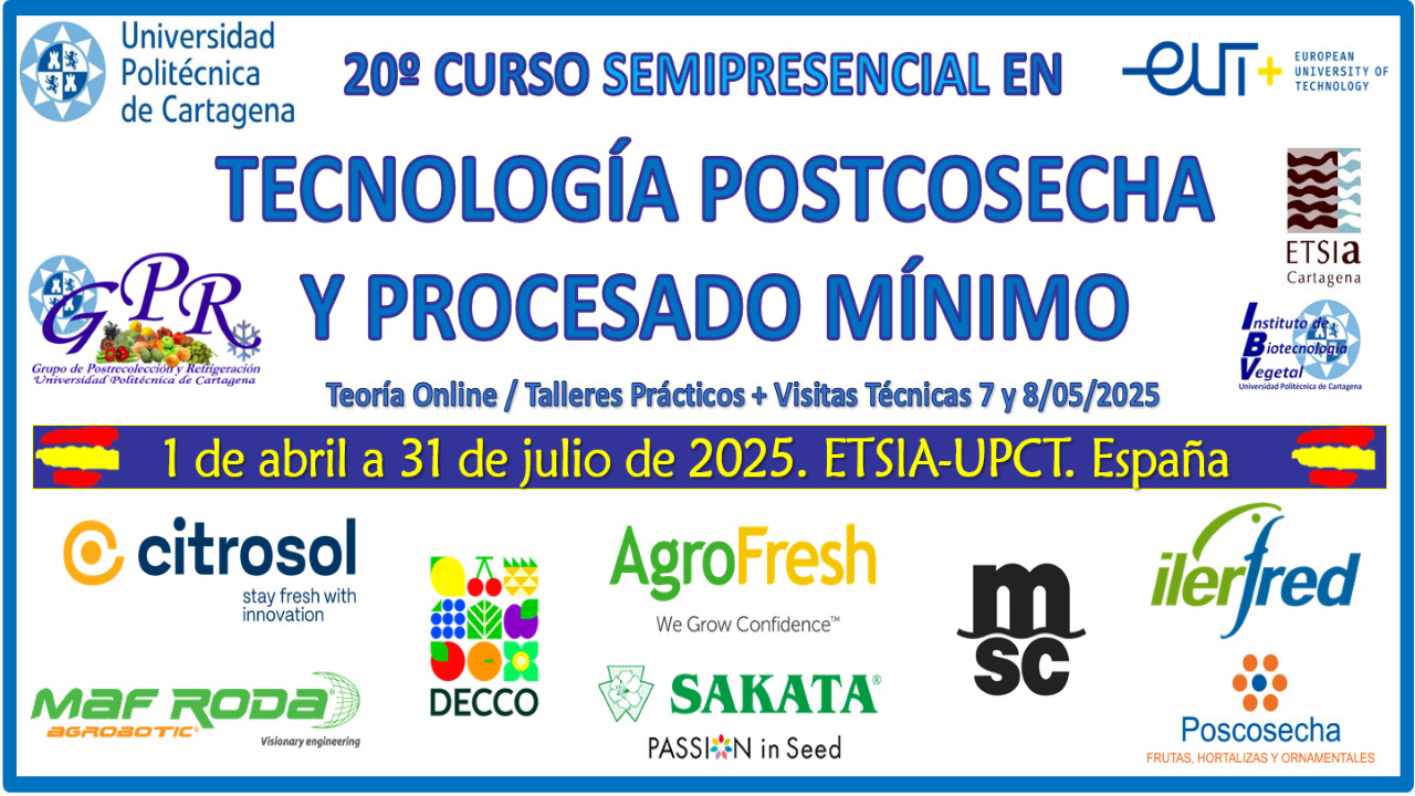 Curso UPCT